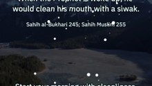 The Prophet ﷺ Did This When He Woke Up at Night 🤍