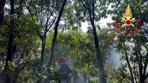 Como, incendio devasta il monte Goi