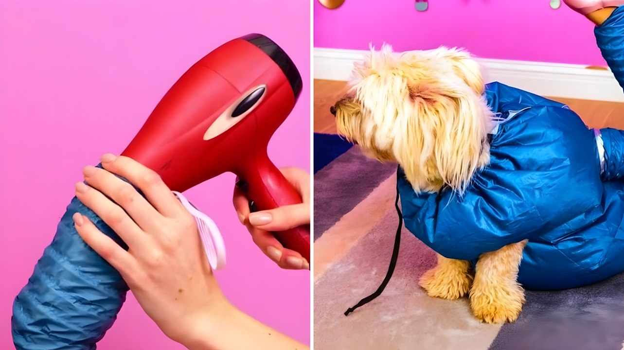 Hacks and Gadgets for Pets and Pet Lovers