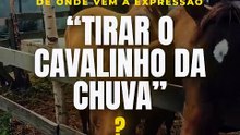"Tirar o cavalinho da chuva": de onde vem essa expressão?