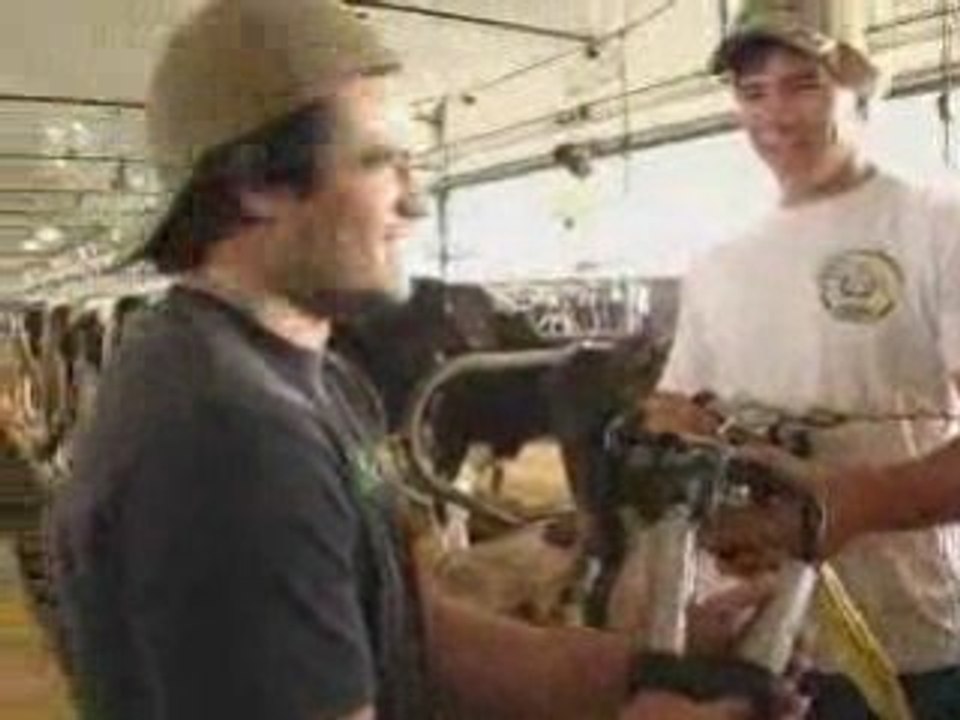 Ceci nest pas un titre de travaille - Emission2