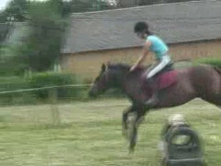 Quenzo et Norway saut 11