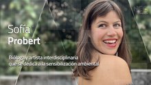 Reporte Climático 263 | El Arte como refugio y resistencia