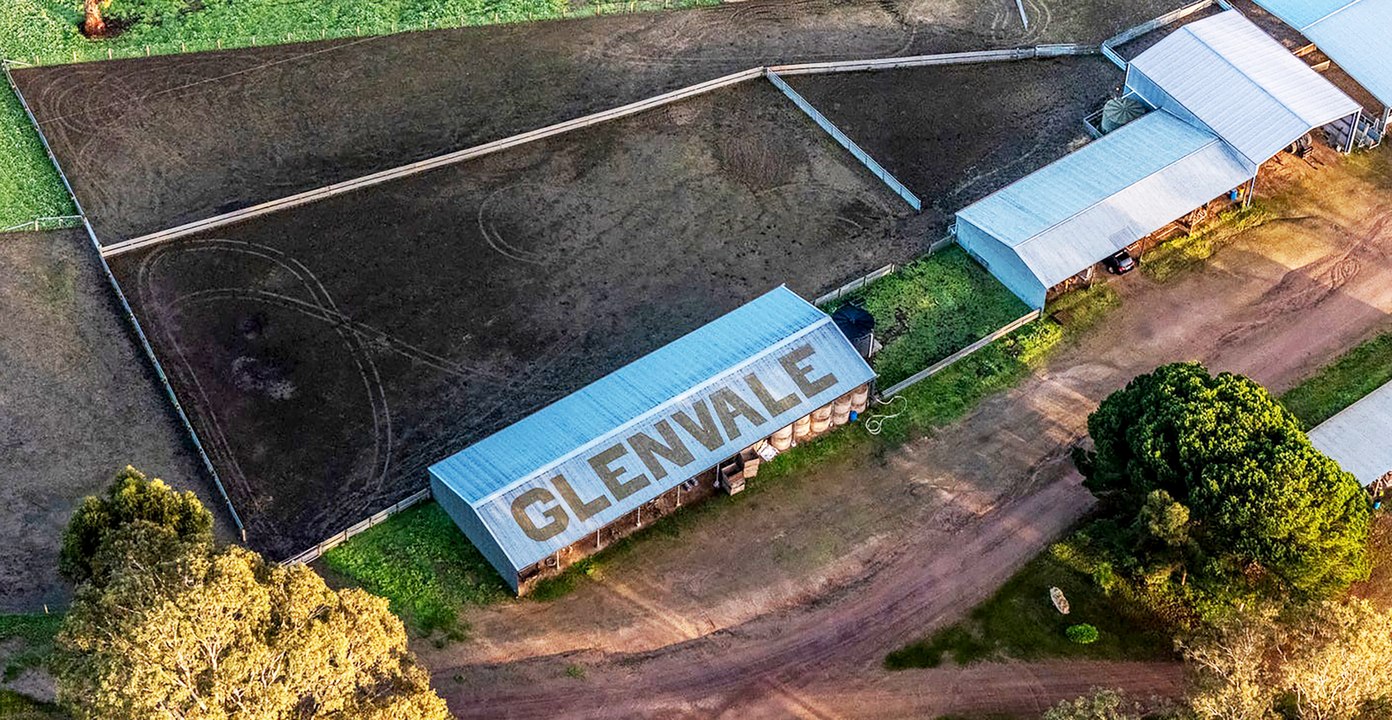 Premier Western District sheep property Glenvale  on the sales market.