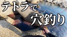 【穴釣り】大物や良型を狙ってテトラで穴釣り！