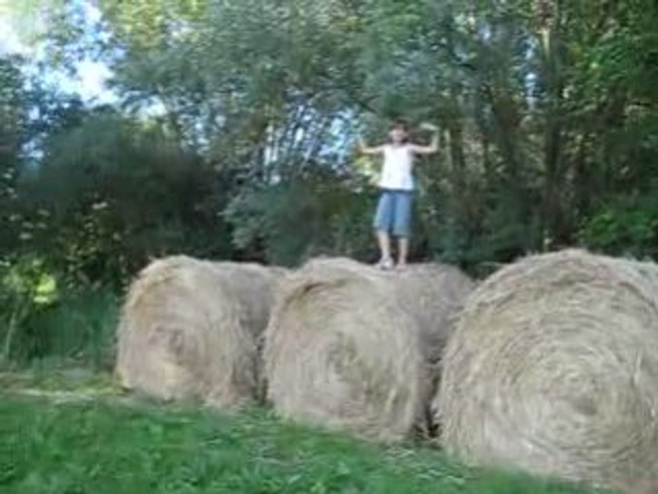aleilouya de loulou