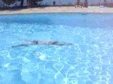 25 m Breaststroke / brasse - French Riviera