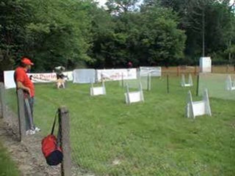 flyball la renaudière
