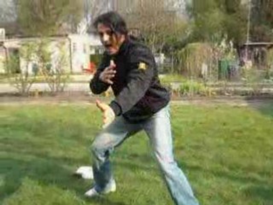 anouar kong fu