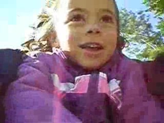 luge d'été descente 2