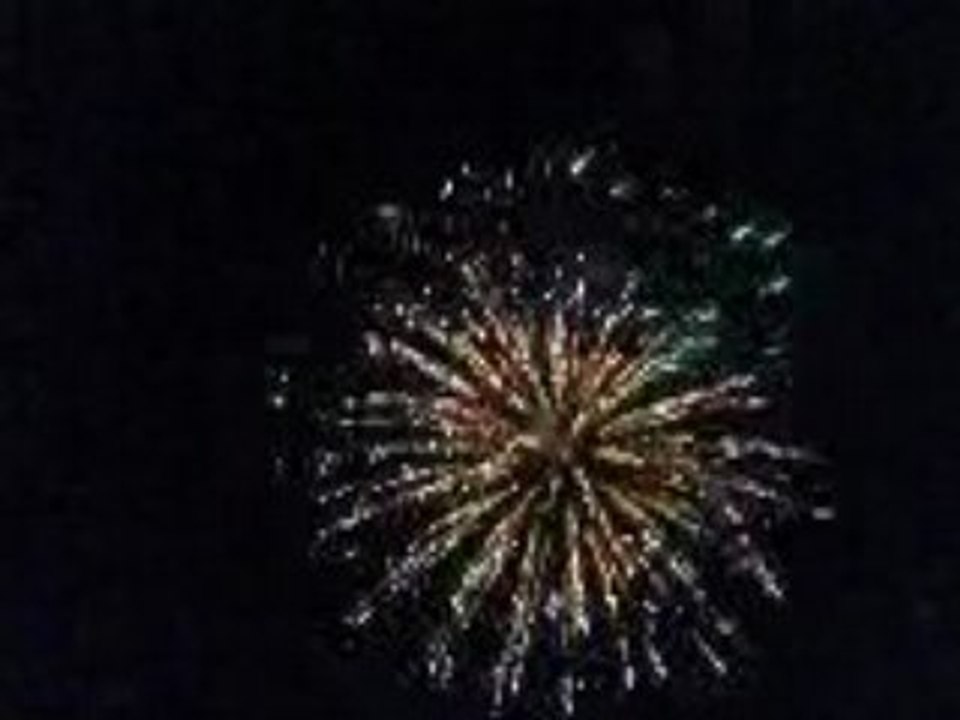 Feu d'Artifice 14 Juillet 2008 à FORBACH ( 2 )