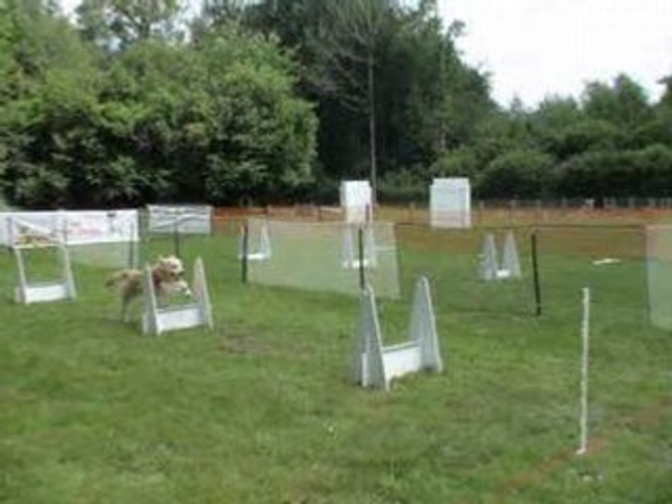 flyball la renaudière