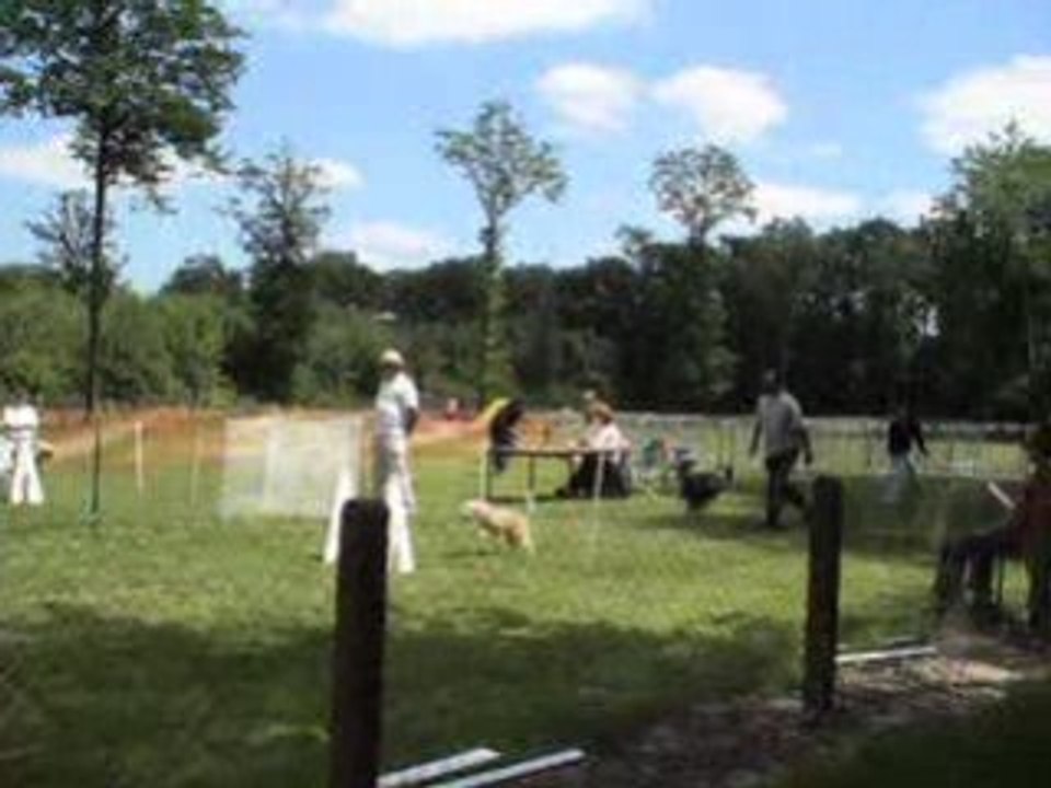 flyball la renaudière