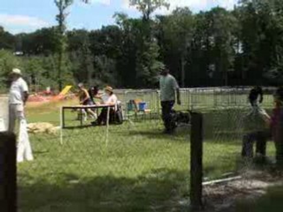 flyball la renaudière