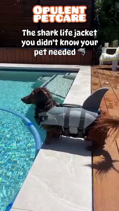 Shark-Style Dog Life Jacket Vest – Fun & Safe P...