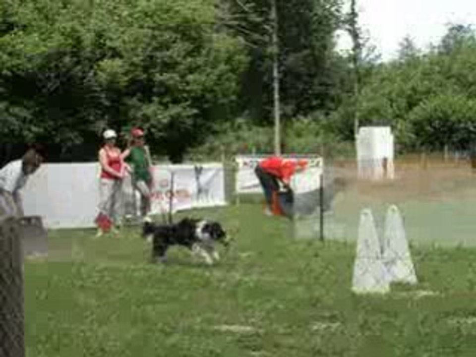 flyball la renaudière
