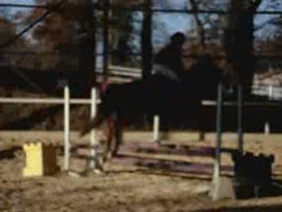 Mon super poney lupin
