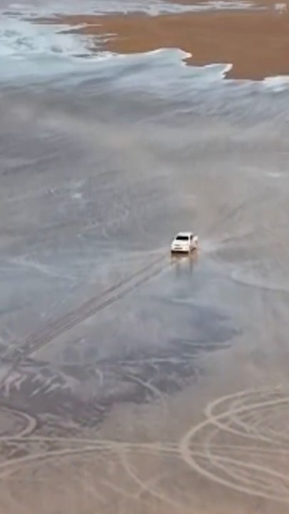 Un conductor daña la llanura de la Pampa del Leoncito
