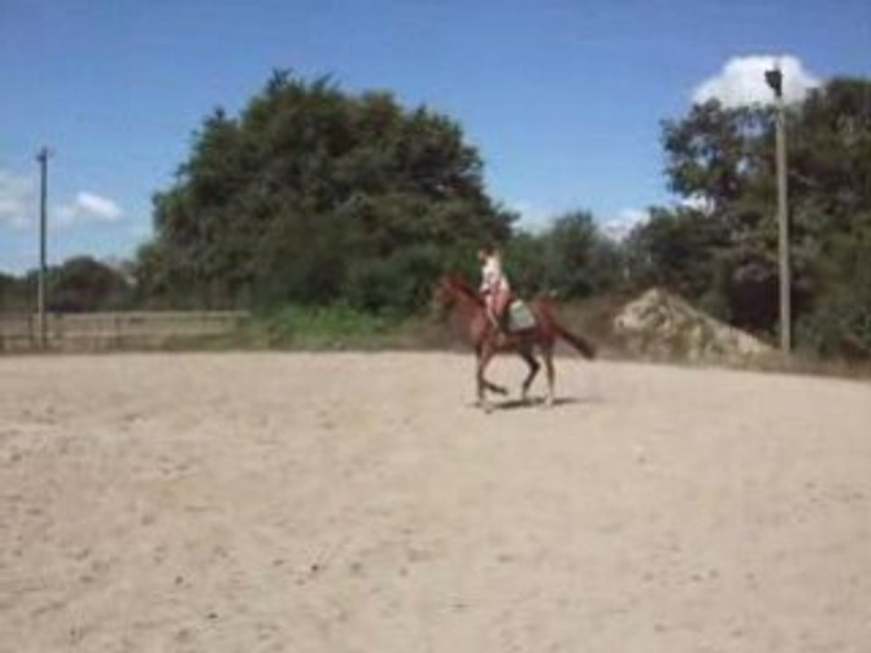 DSCF2461