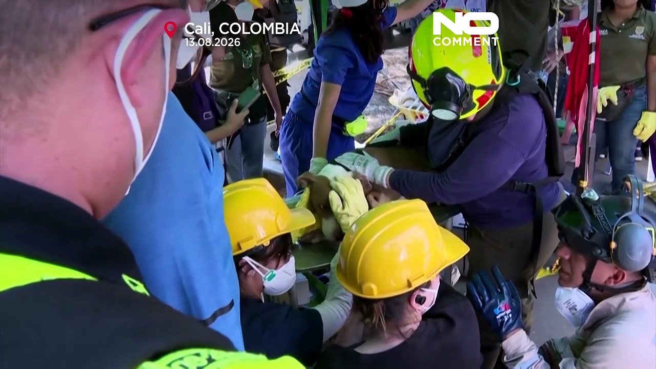 Colombie : un chien sauvé des décombres 72 heur...
