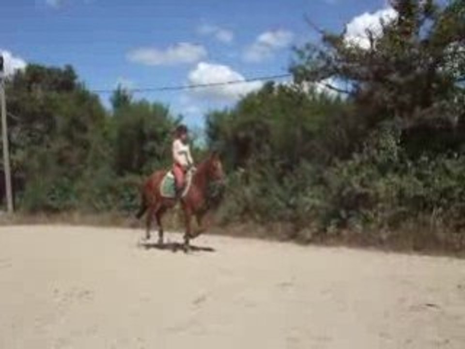 DSCF2462