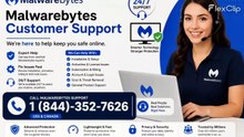 ∬~Full™ {{~SUPPORT©}} of ➤MALWAREBYTES Toll Free® Support® CUSTOMER© SUPPORT ASSISTANCE℗ NUMBERS : 2026 Easy Step by Step Guide