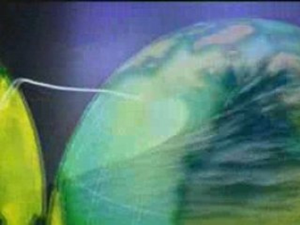 Tribo De Jah - Reggae Na Estrada (Live In Jamaica)