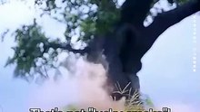 My Ancestor Went Viral Overnight - Full Drama Movie English Sub [Full Movie]