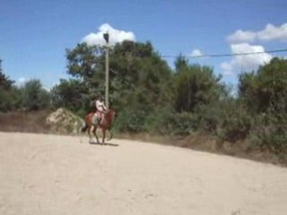 DSCF2464