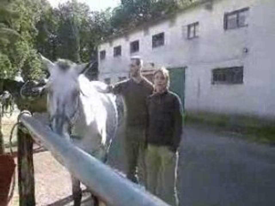 2008-07 [Osmoy] Balade à cheval en forêt de Rambouillet 1