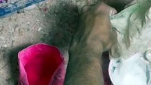 This Is How Pink Soap Is Really Made 2-9