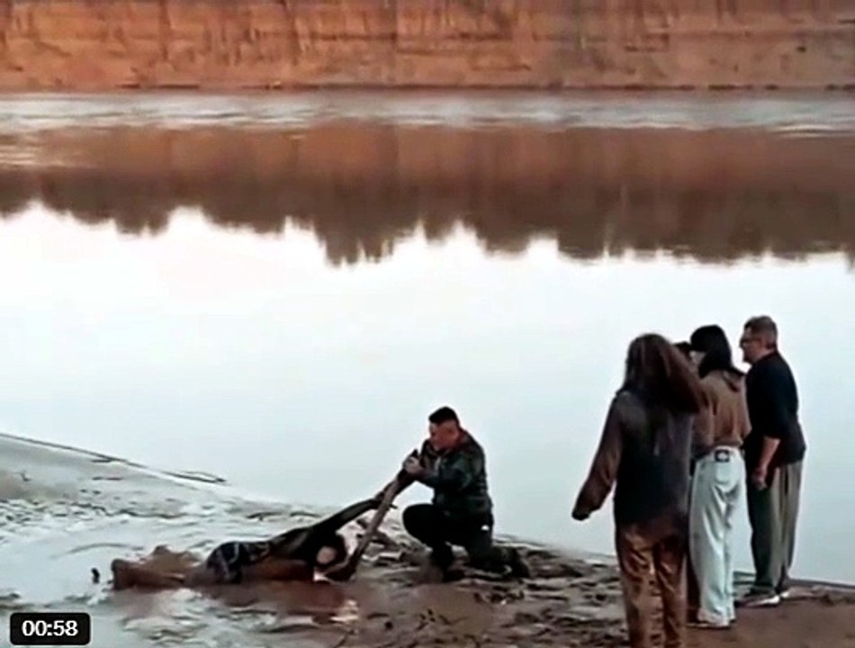 rescate en el bermejo.mp4