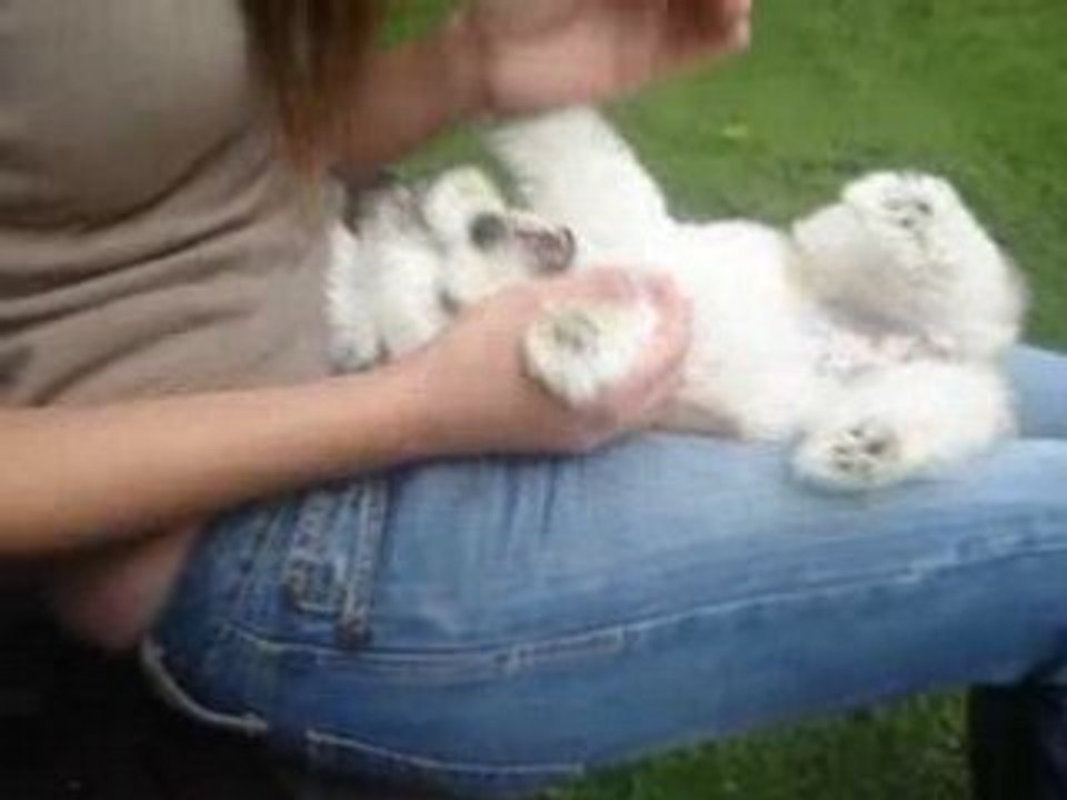 Minie xD