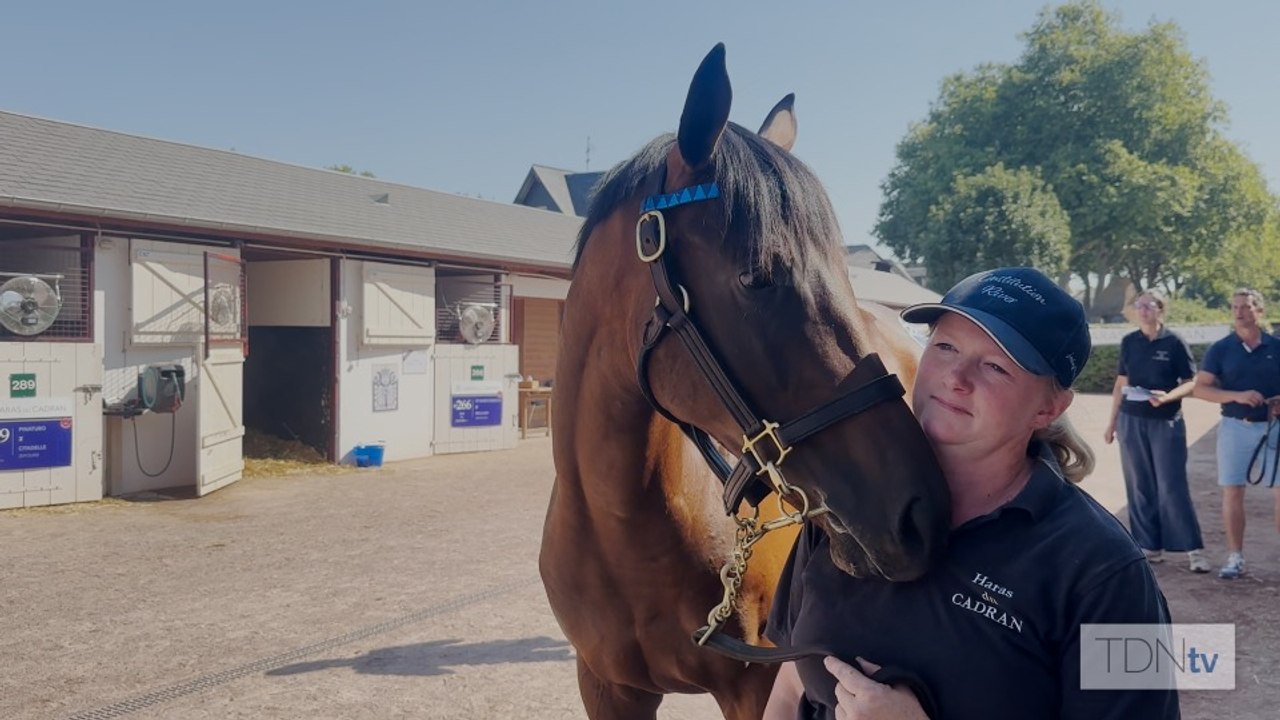 Pierre Talvard Returns to Arqana With Constitut...