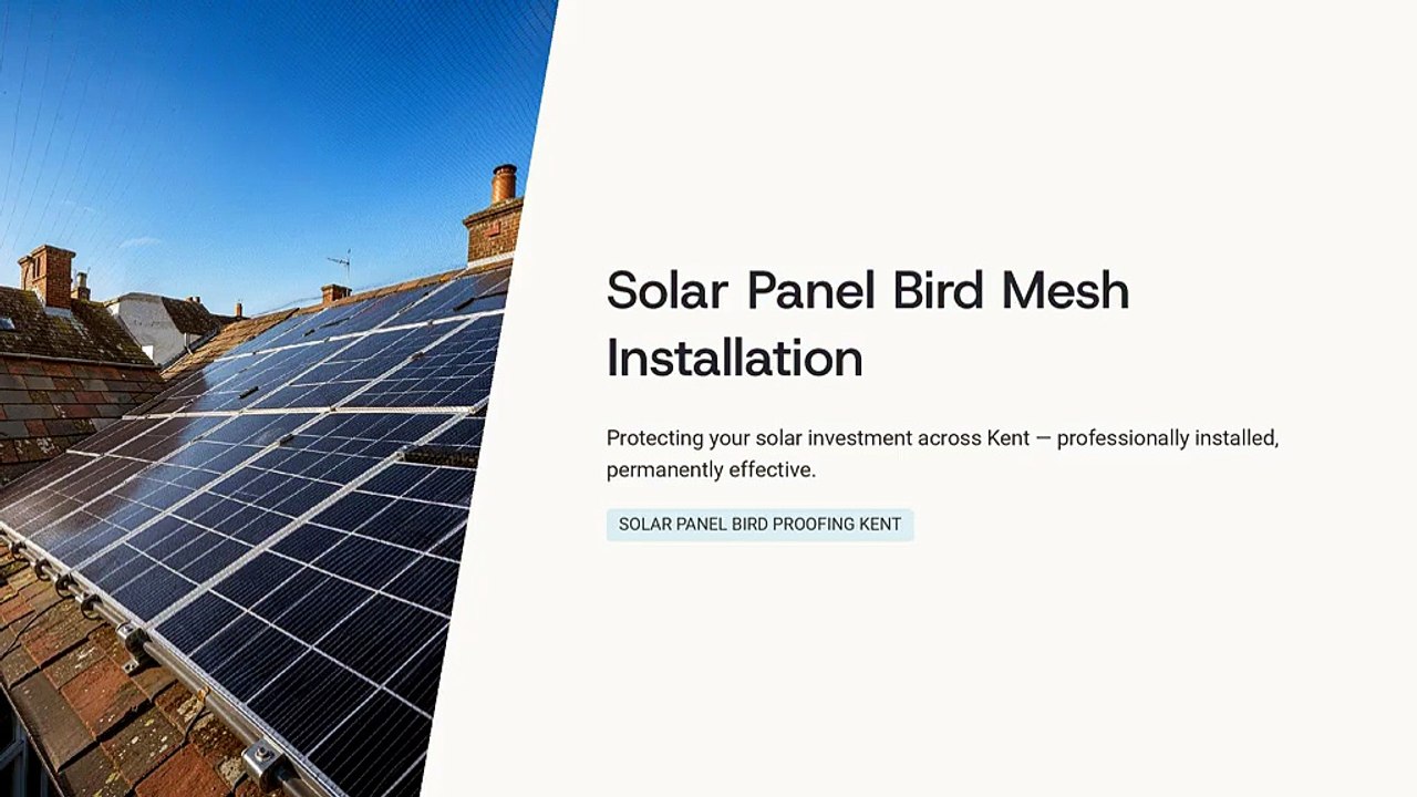 Professional Solar Panel Bird Mesh Installation