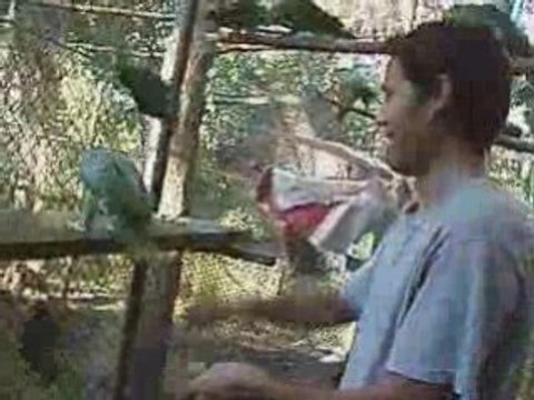 Arcas Flores, Peten, Guatemala