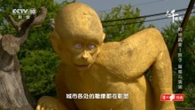 猴子,猩猩与狒狒.野地贏家