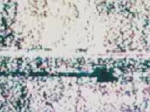 Terminator Salvation - The Future Begins