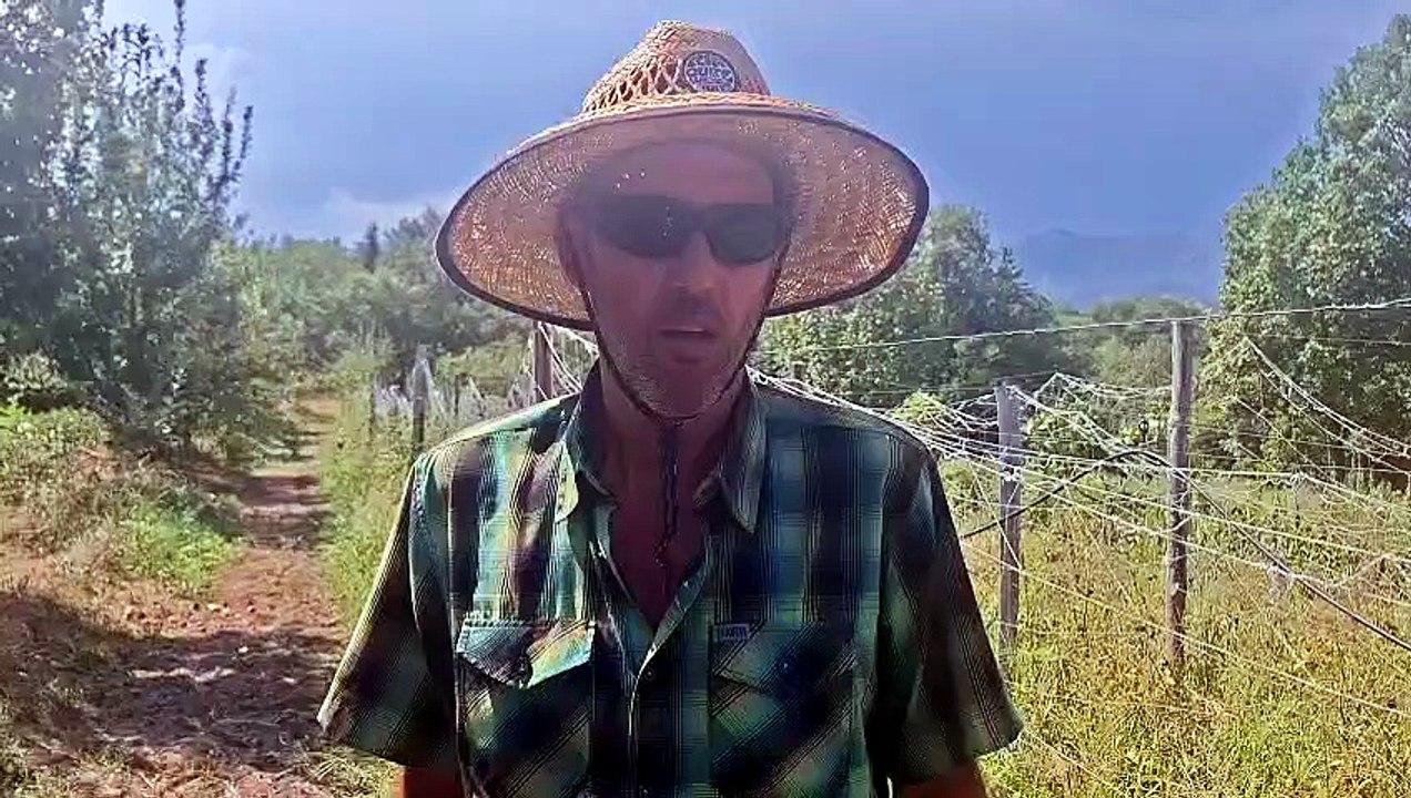 Jean-Marie, maraîcher à Prades