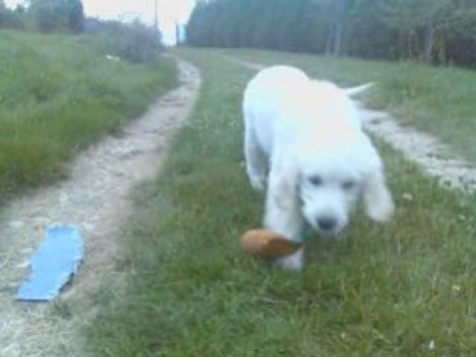 Deehane au rapport 15-07-08 bis