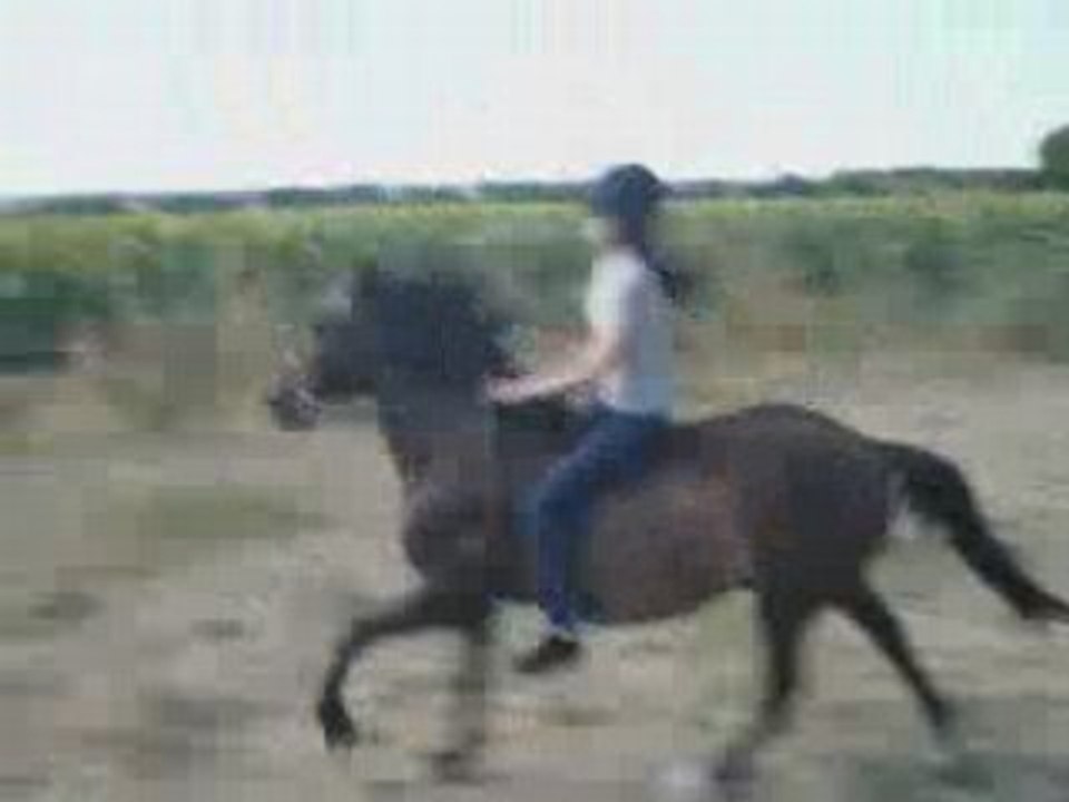Course plein cul 4