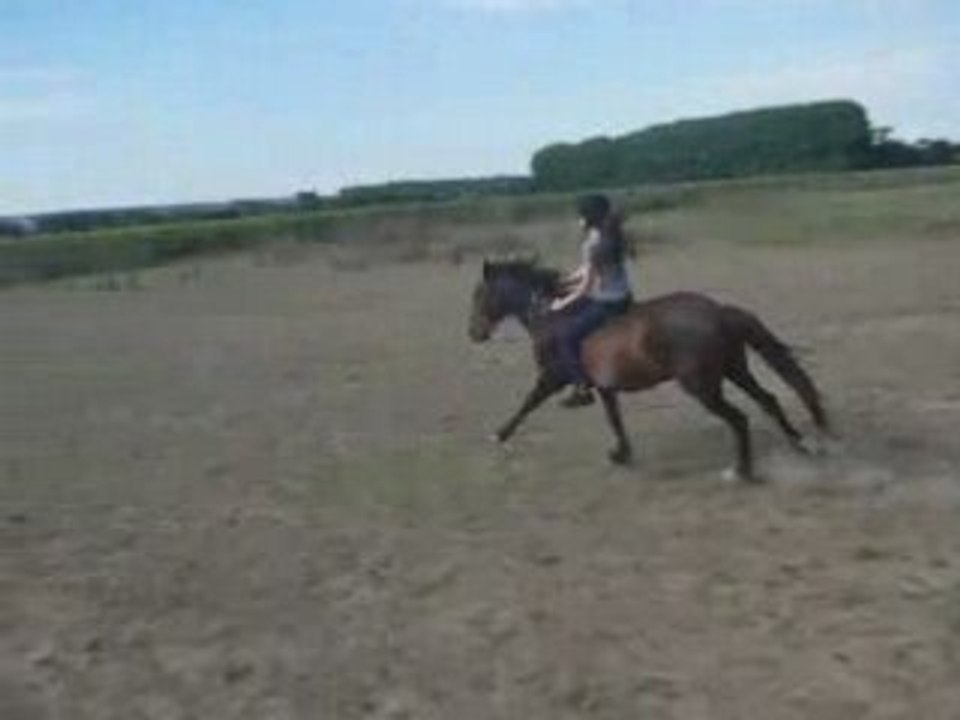 reprise de dressage au terrain^^