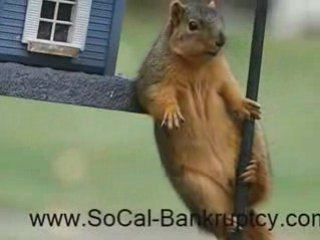 San Diego Escondido North County Bankruptcy Lawyer