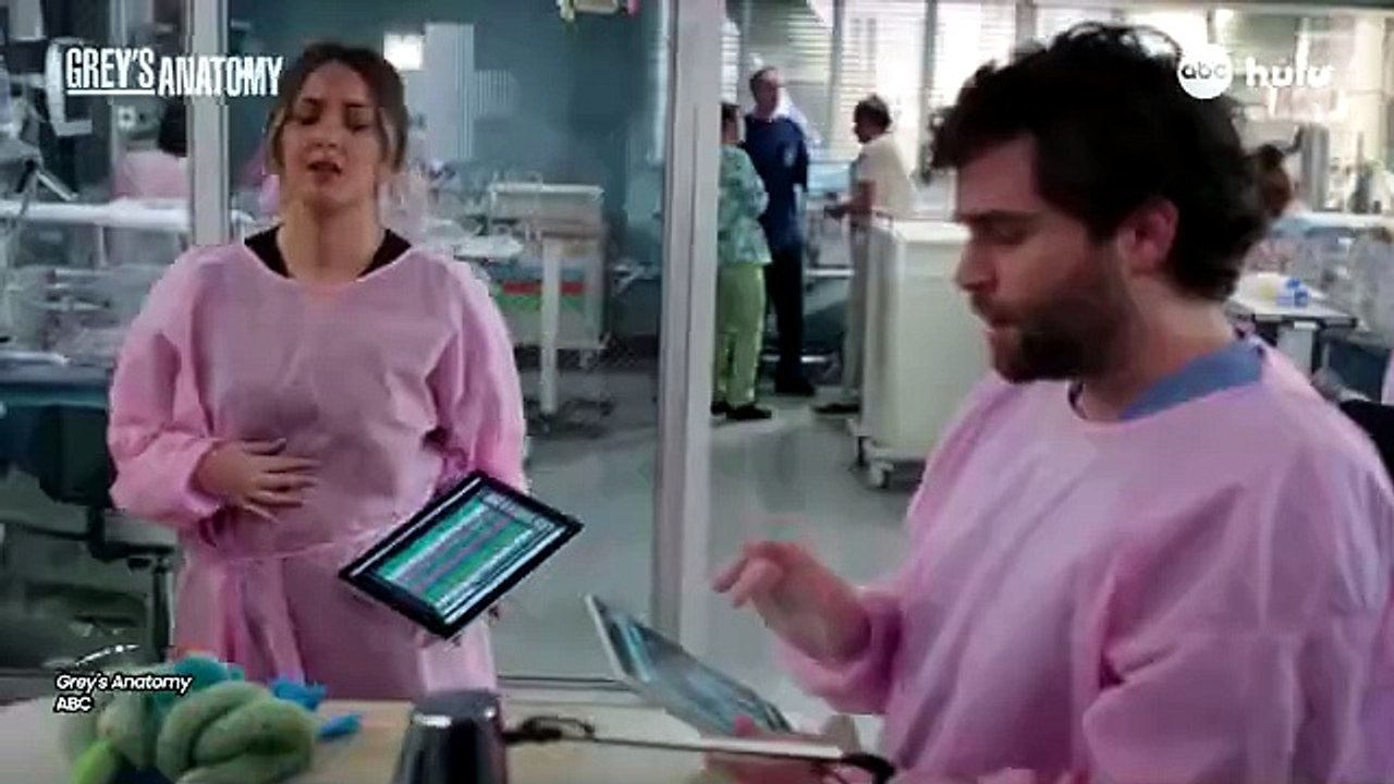 grey-s-anatomy-season-21-adds-sophia-bush-to-cast-thr-news-video