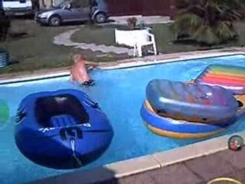 dj raï rnb funk zouk