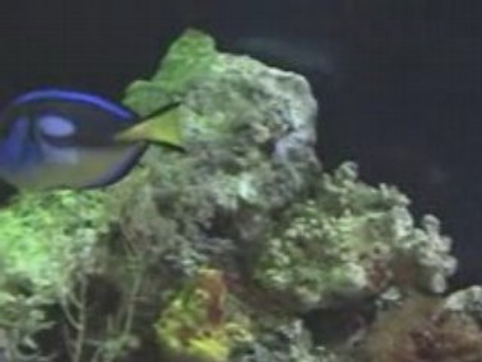 Sea life oberhausen