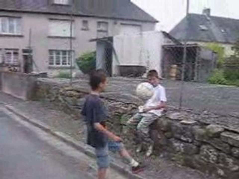 Drible