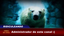 El Problema que pasará en el año 2038
