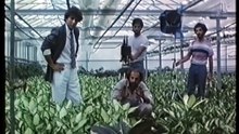 Το τραγούδι της επιστροφής (1983)