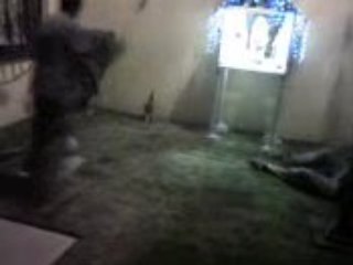 Lutin bourré prit en flagrant délit de visibilité